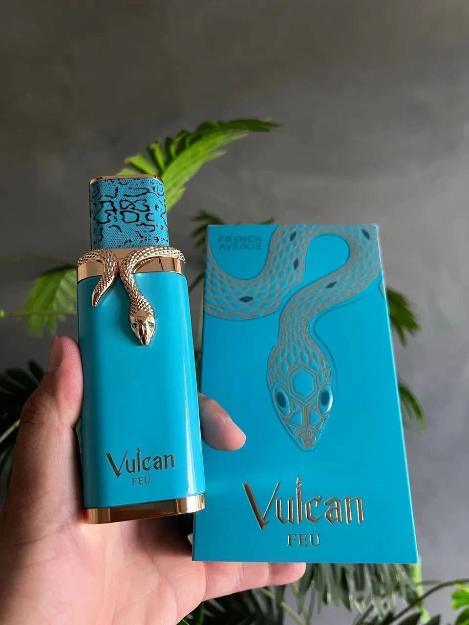 Vulcan Fue French Avenue Unissex