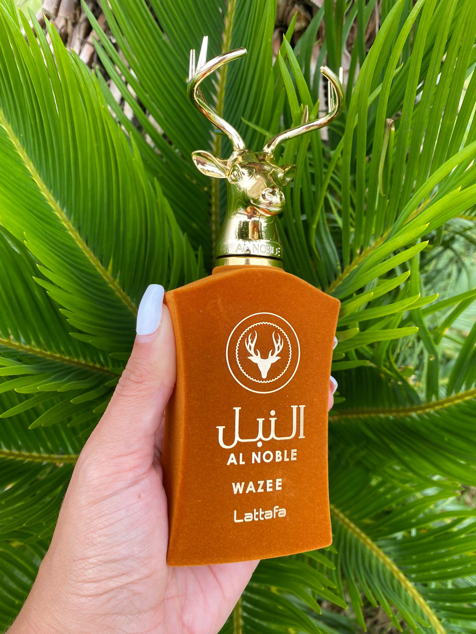 Al Noble Wazee Lattafa